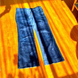 Banana Republic Blue Flare Wide Leg Jeans